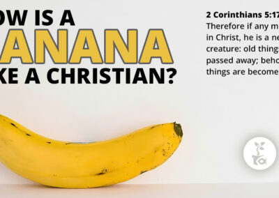 Plant Grow Prosper Facebook Post