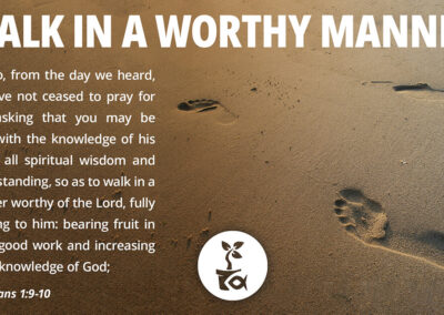 Plant Grow Prosper Facebook Post